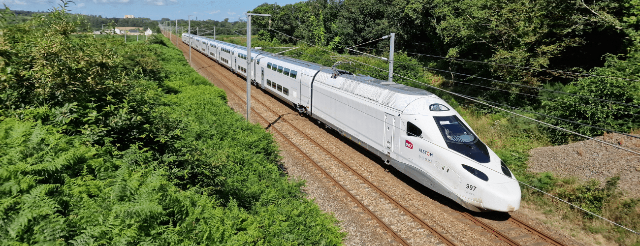 International mobility
